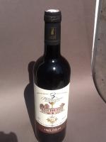 Château-des-Termes-d'Armagnac3